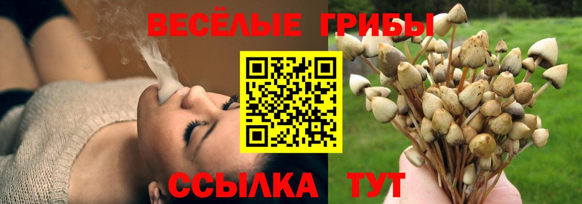 Кудымкар  Псилоцибиновые грибы Psilocybine cubensis  Вход с VPN  Галлюциногенные грибы мухоморы 